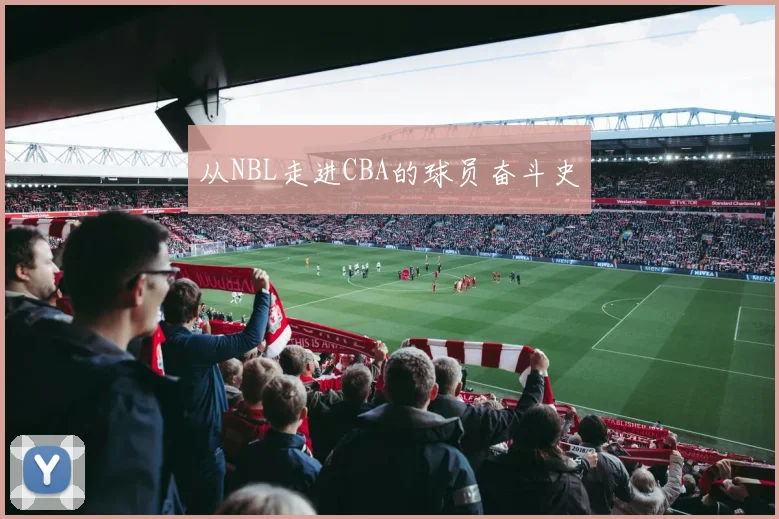 从NBL走进CBA的球员奋斗史