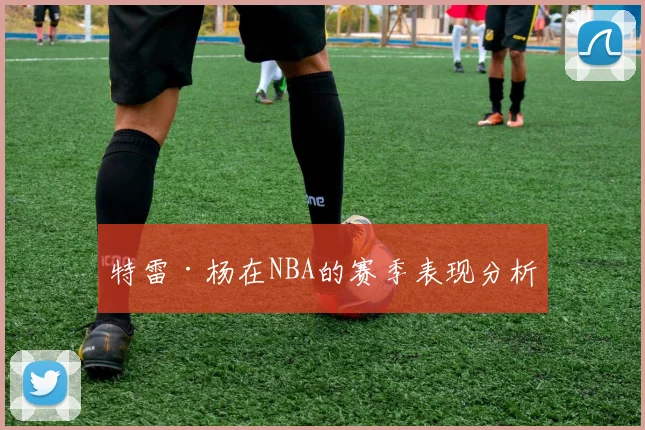 特雷·杨在NBA的赛季表现分析