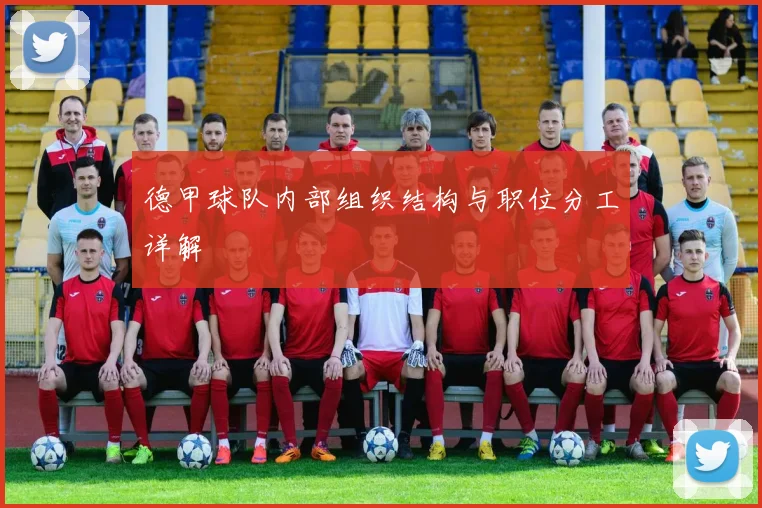 德甲球队内部组织结构与职位分工详解