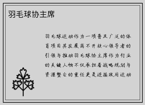 羽毛球协主席